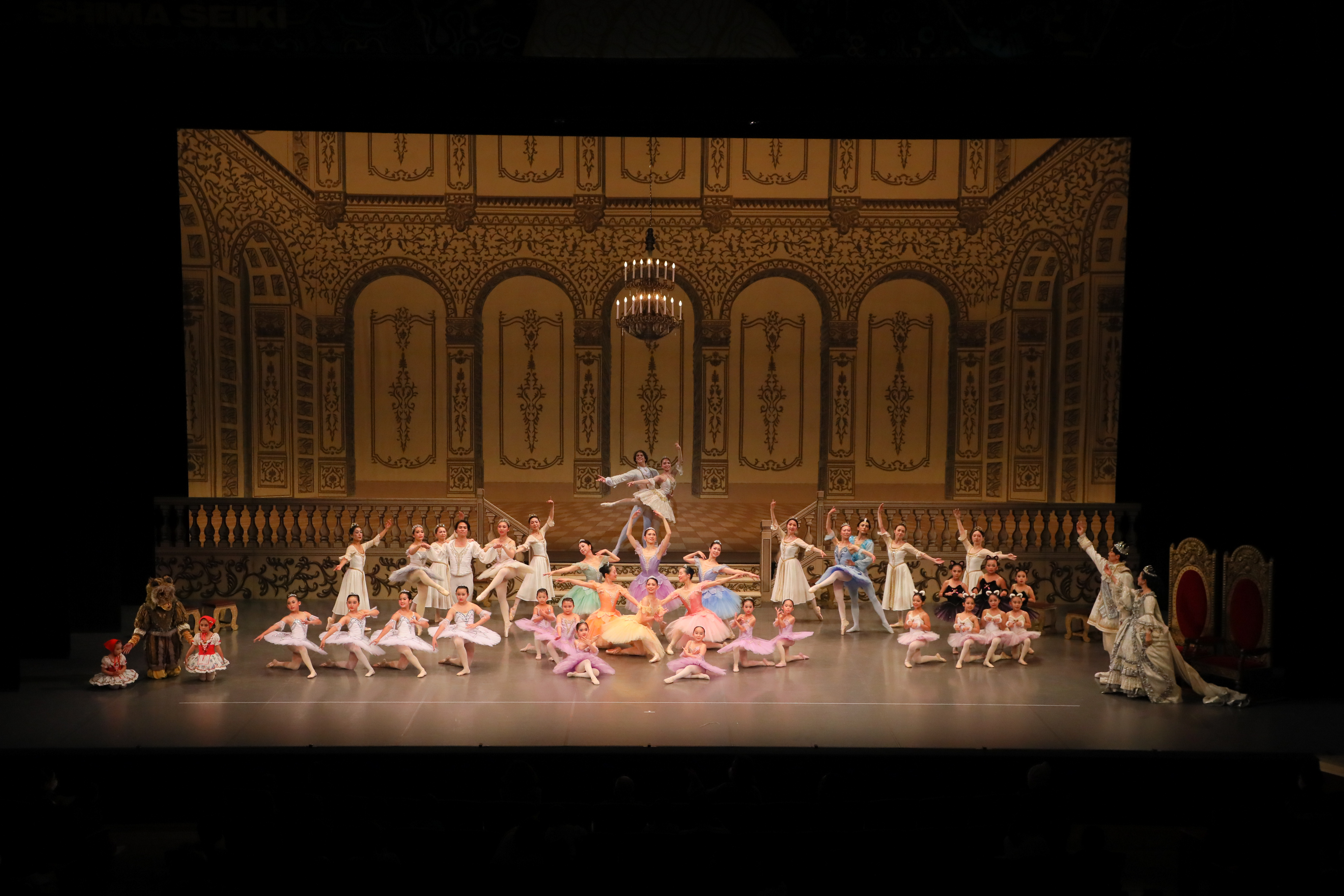 クラシックバレエ撮影